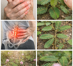 Thiết kế chưa có tên 2026 03 14T092522.785