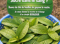 Thiết kế chưa có tên 2026 03 20T085117.993