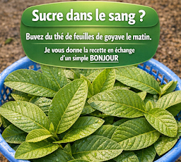 Thiết kế chưa có tên 2026 03 20T085117.993