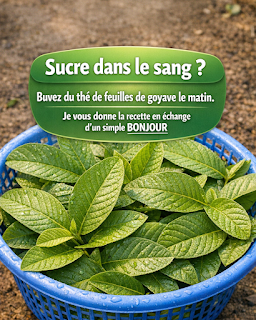 Thiết kế chưa có tên 2026 03 20T085117.993