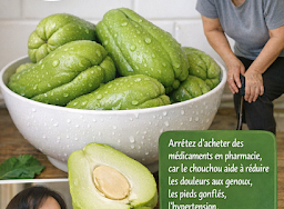 Thiết kế chưa có tên 2026 03 20T172858.228