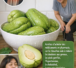 Thiết kế chưa có tên 2026 03 20T172858.228