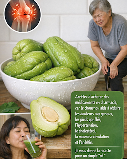 Thiết kế chưa có tên 2026 03 20T172858.228