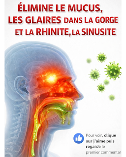 Thiết kế chưa có tên 2026 03 20T214227.976