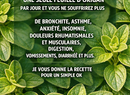 Thiết kế chưa có tên 2026 03 20T222021.721