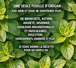 Thiết kế chưa có tên 2026 03 20T222021.721