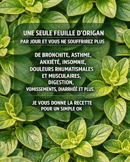 Thiết kế chưa có tên 2026 03 20T222021.721