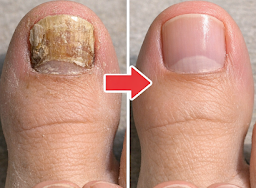 Thiết kế chưa có tên 2026 03 21T124413.736