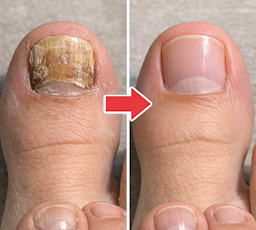 Thiết kế chưa có tên 2026 03 21T124413.736