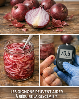 Thiết kế chưa có tên 2026 03 21T181910.863