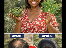 Thiết kế chưa có tên 2026 03 21T193806.207