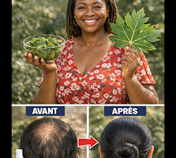 Thiết kế chưa có tên 2026 03 21T193806.207