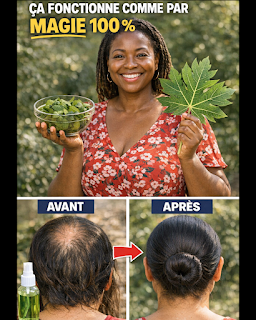 Thiết kế chưa có tên 2026 03 21T193806.207