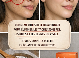 Thiết kế chưa có tên 2026 03 22T075923.566