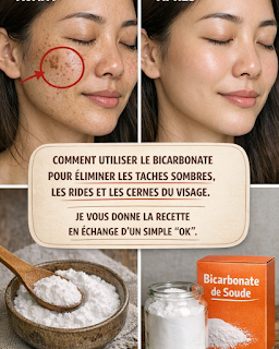 Thiết kế chưa có tên 2026 03 22T075923.566