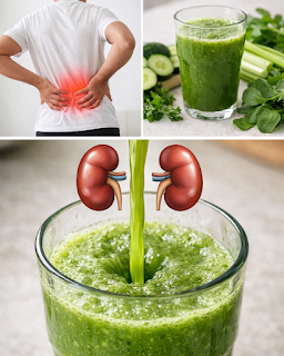 Thiết kế chưa có tên 2026 03 22T202729.305