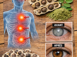 Thiết kế chưa có tên 2026 03 22T222547.979