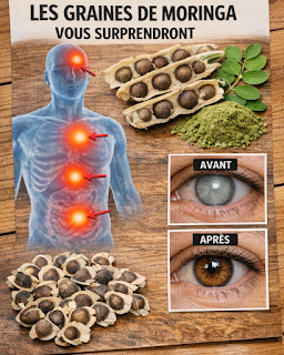 Thiết kế chưa có tên 2026 03 22T222547.979