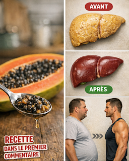 Thiết kế chưa có tên 2026 03 22T223653.176