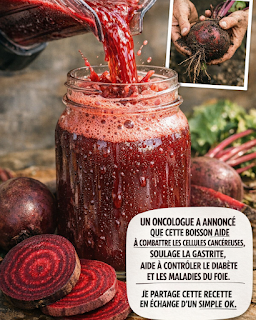 Thiết kế chưa có tên 2026 03 23T174645.654