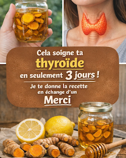 Thiết kế chưa có tên 2026 03 24T174353.634