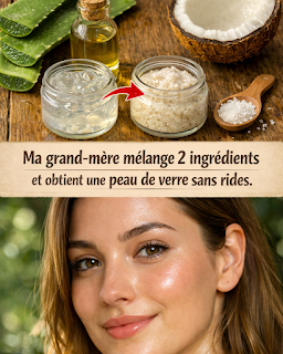 Thiết kế chưa có tên 2026 03 24T220423.444