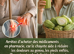 Thiết kế chưa có tên 2026 03 24T221238.748