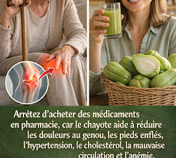 Thiết kế chưa có tên 2026 03 24T221238.748