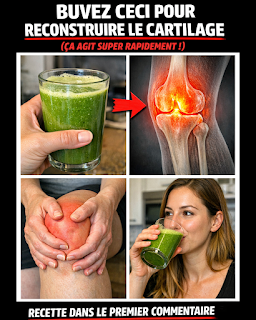 Thiết kế chưa có tên 2026 03 25T215905.353