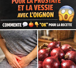 Thiết kế chưa có tên 2026 03 31T173938.431