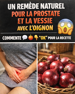 Thiết kế chưa có tên 2026 03 31T173938.431