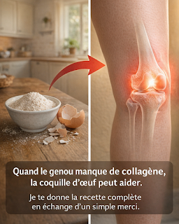 Thiết kế chưa có tên (26)