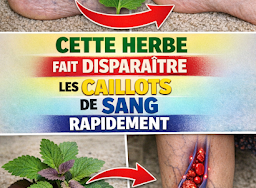 Thiết kế chưa có tên (5)