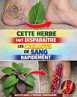 Thiết kế chưa có tên (5)