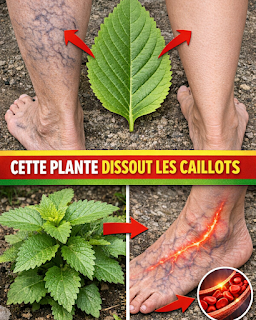 Thiết kế chưa có tên (75)