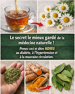 Thiết kế chưa có tên (79)