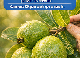 Thiết kế chưa có tên (88)