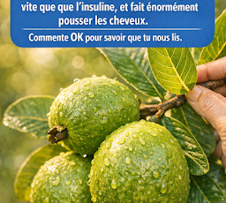 Thiết kế chưa có tên (88)