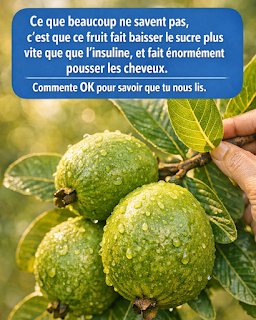 Thiết kế chưa có tên (88)