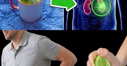 WhatsApp Image 2026 03 02 at 01.39.24