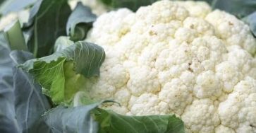 WhatsApp Image 2026 03 16 at 04.20.18