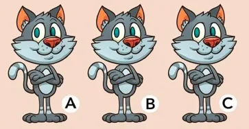 Defi dillusion doptique quel chat est different sur la photo.jpg