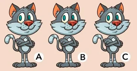 Defi dillusion doptique quel chat est different sur la photo.jpg