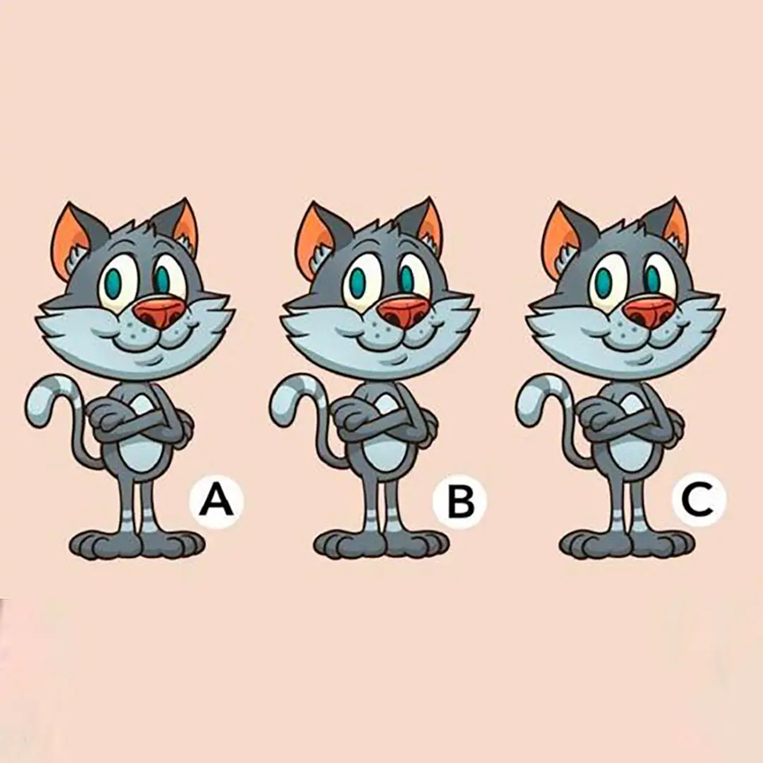 Defi dillusion doptique quel chat est different sur la photo.jpg