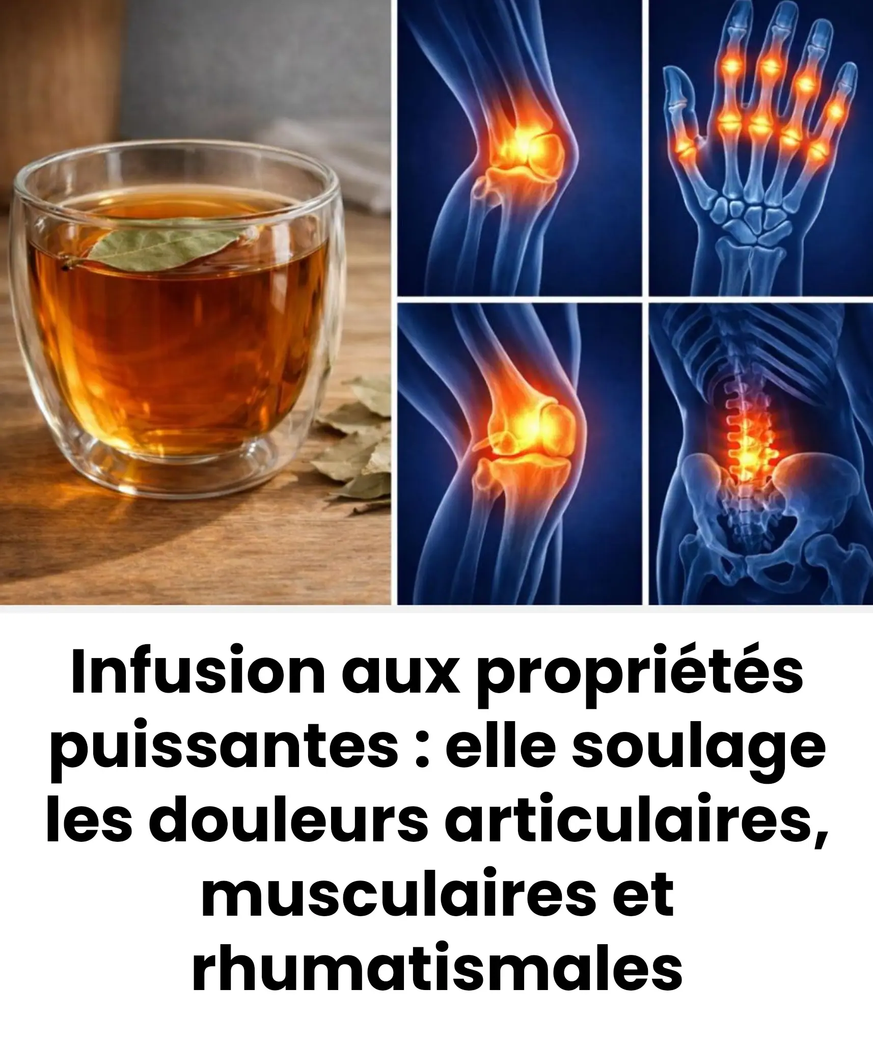 Infusion aux proprietes puissantes elle soulage les douleurs articulaires musculaires et rhumatismales.jpg
