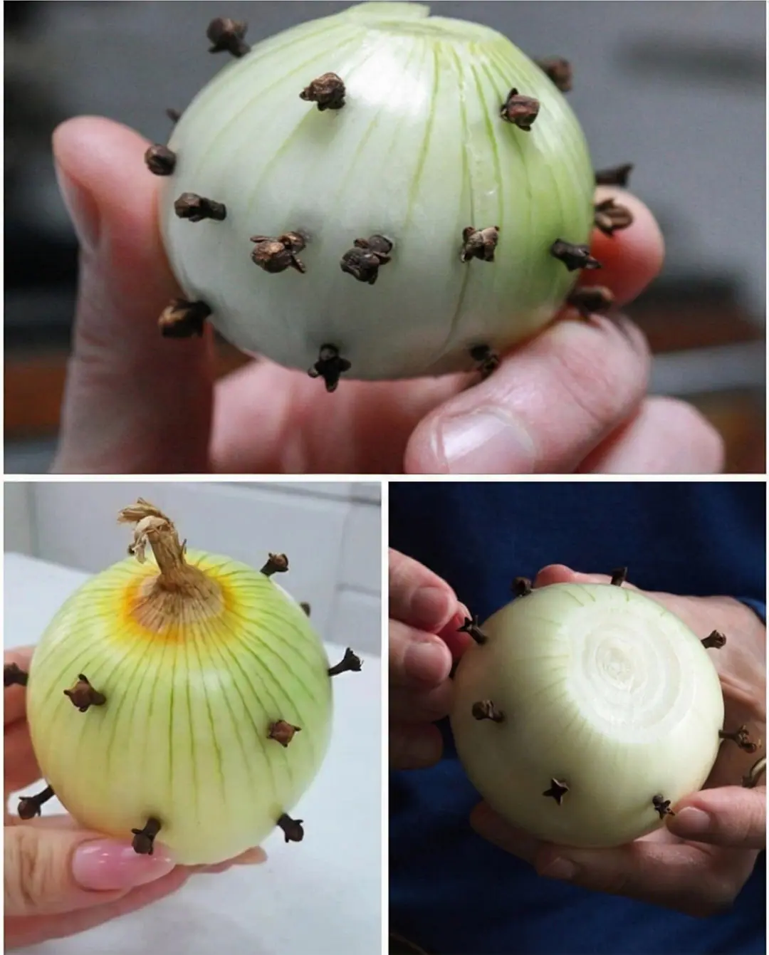 Lastuce surprenante qui consiste a piquer des clous de girofle dans un oignon.jpg