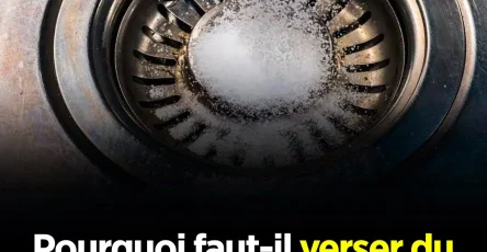 Pourquoi faut il verser du sel dans levier le soir.jpg