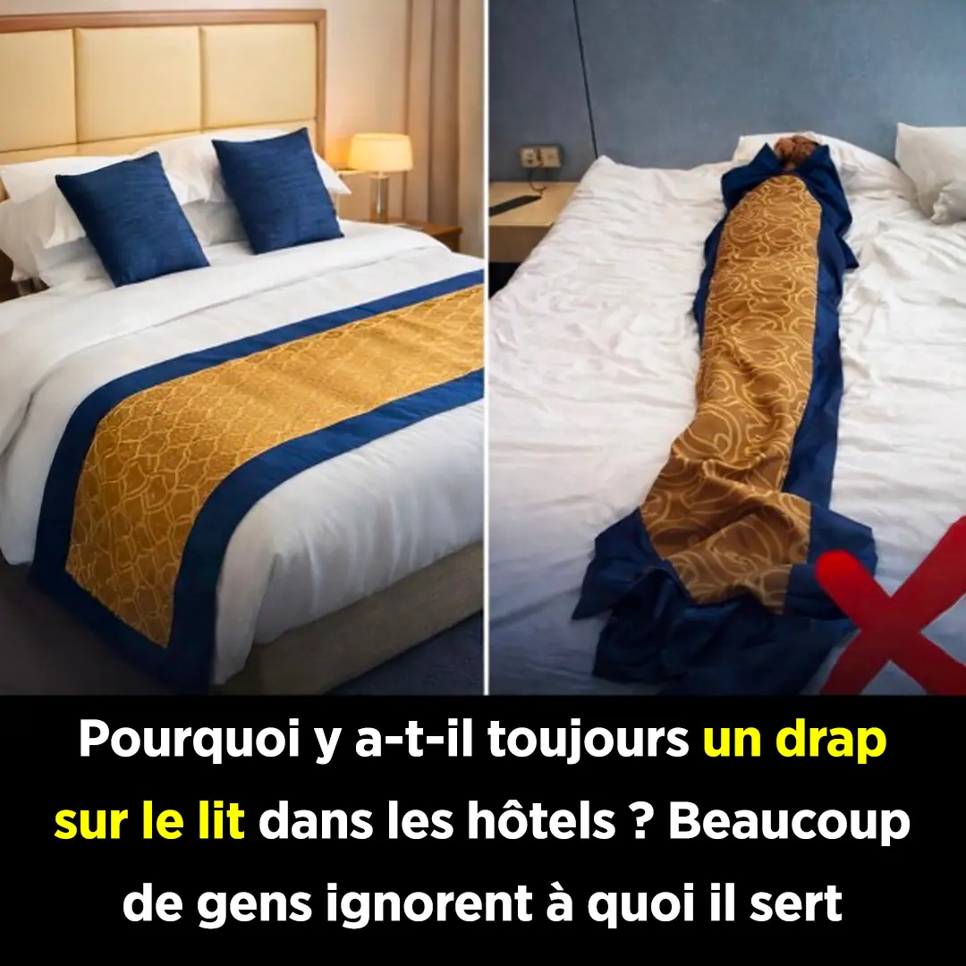 Pourquoi les hotels mettent ils toujours un drap sur le lit.jpg