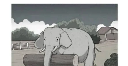 Saurez vous trouver le cheval cache relevez ce defi extreme en 7 secondes.jpg