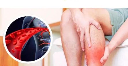 Translation 20251212